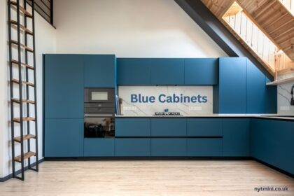 Blue Cabinets