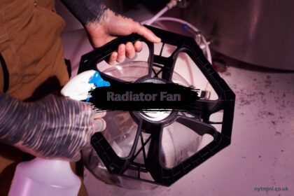 Radiator Fan