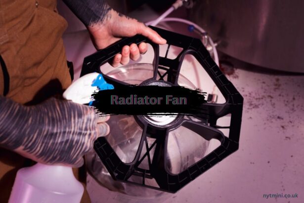 Radiator Fan