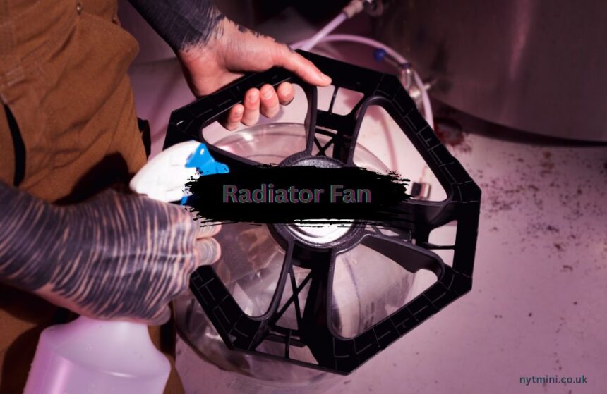 Radiator Fan