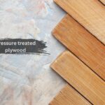 pressure treated plywood