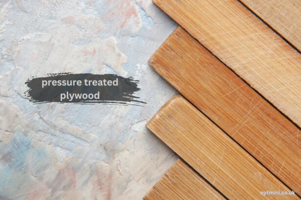 pressure treated plywood