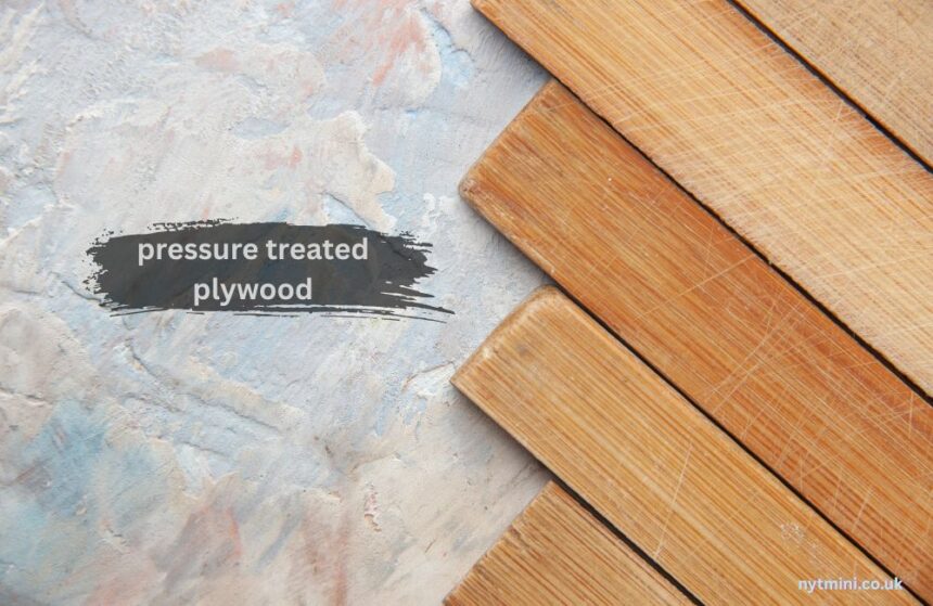 pressure treated plywood