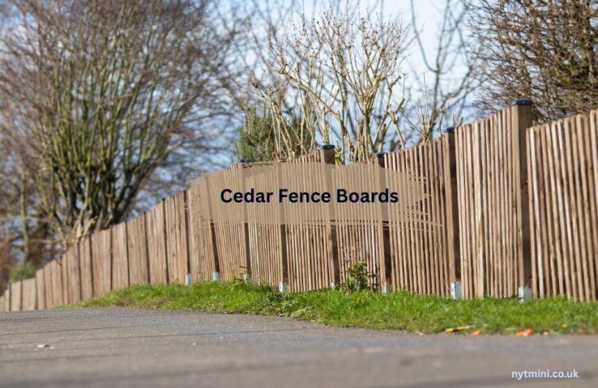 Cedar Fence Boards
