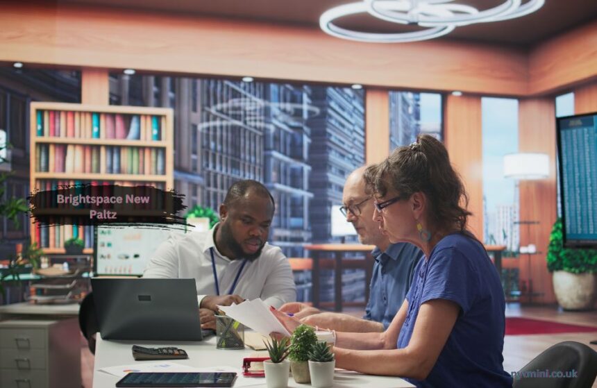 brightspace new paltz