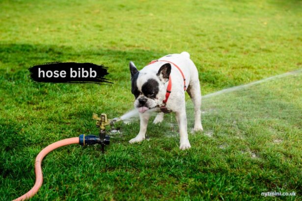 hose bibb