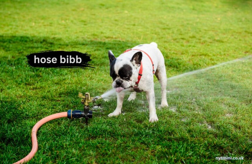 hose bibb